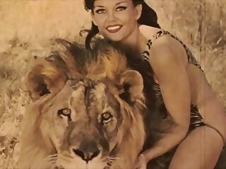 Dark Lantern Relaxation presents 'Beauty And The Beast'